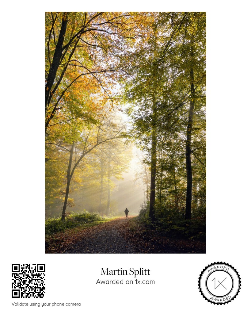 1x.com Curated Gallery Award Certificate - Misty Morning
