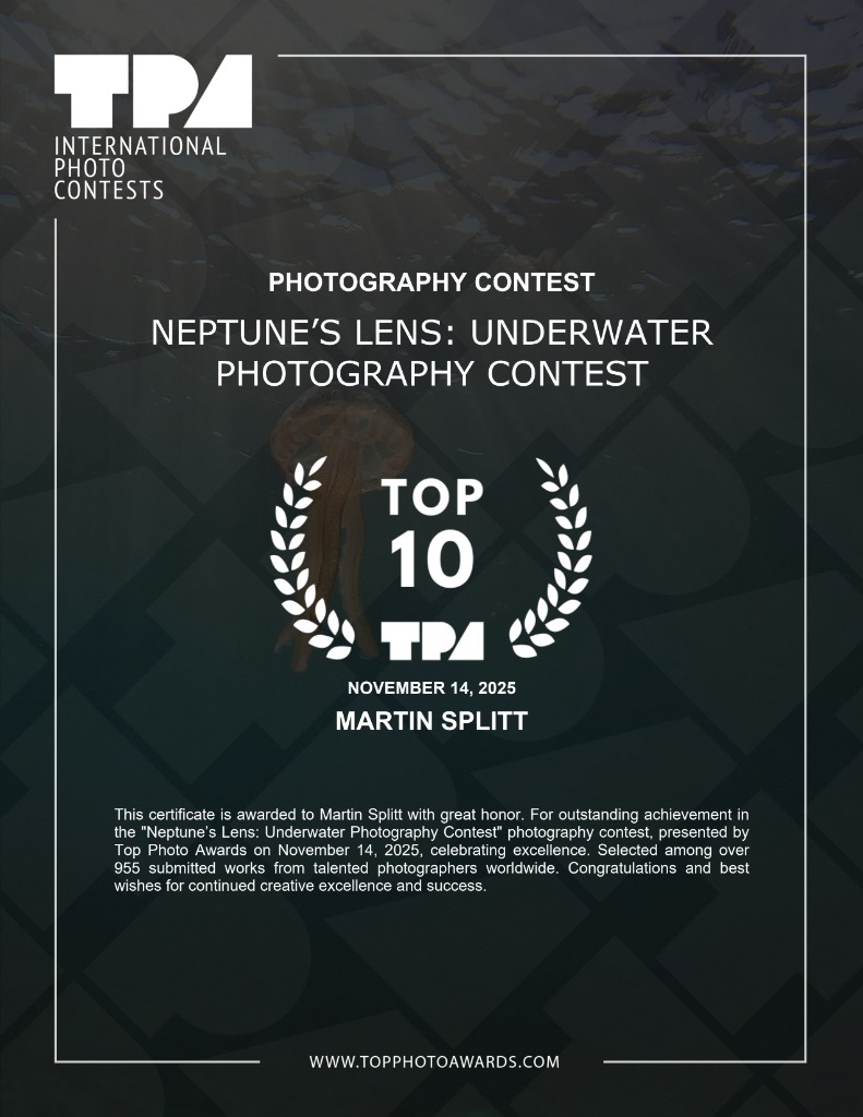 Neptune’s Lens: Underwater Photography Contest Certificate