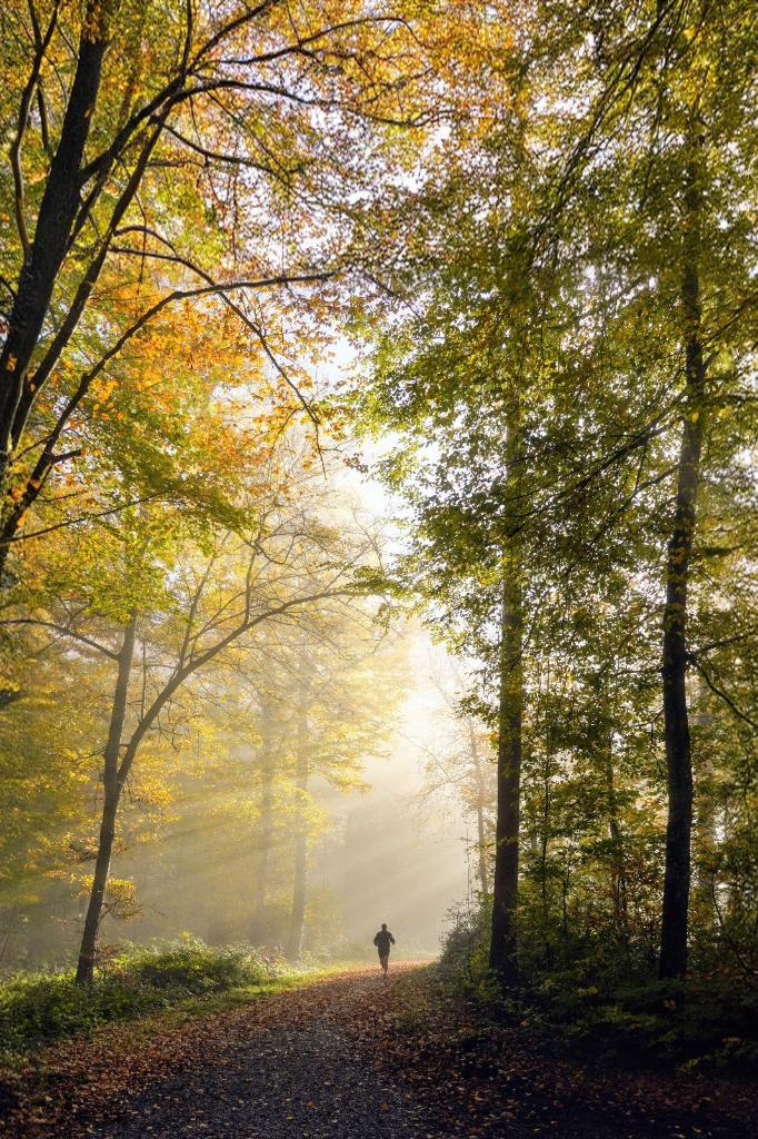 Misty Morning